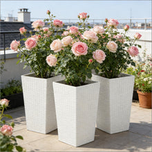 Load image into Gallery viewer, Spacious Plant Pots, Plants Box Set of 3, Tall Planters Box