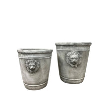 Load image into Gallery viewer, Cement Lion Planter