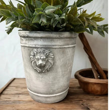 Load image into Gallery viewer, Cement Lion Planter
