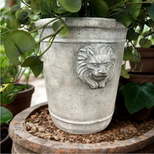 Load image into Gallery viewer, Cement Lion Planter