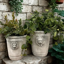 Load image into Gallery viewer, Cement Lion Planter