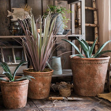 Load image into Gallery viewer, Large Terracotta Red Concrete Planter Pot