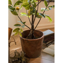 Load image into Gallery viewer, Large Terracotta Red Concrete Planter Pot