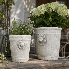 Load image into Gallery viewer, Cement Lion Planter
